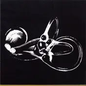 Skeleton Key - Obtainum