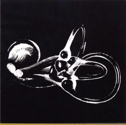 Skeleton Key - Obtainum