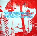 12inch Vinyl Single - Ski Oakenfull - Where Did The Love Go? 1/2
