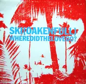 ski oakenfull - Where Did The Love Go? 1/2