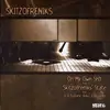 12'' - skitzofreniks - on my own shit