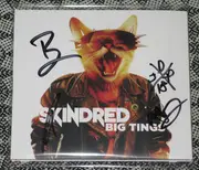 CD - Skindred - Big Tings - Digipak