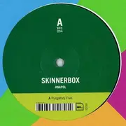 12inch Vinyl Single - Skinnerbox - Anapol