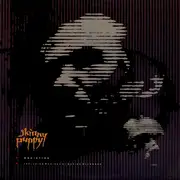 12inch Vinyl Single - Skinny Puppy - Addiction