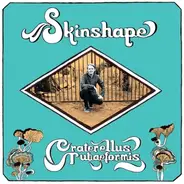 Skinshape - Craterellus Tubaeformis