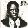 LP - Skip James - Devil Got My Woman