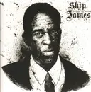 LP - Skip James - Devil Got My Woman