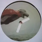 12inch Vinyl Single - Skratchy Seal - Super Seal Breaks
