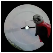 LP - Skratchy Seal - SuperSeal Breaks