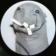 12'' - Skratchy Seal - Sealed Breaks