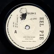 The Skunks - Good From The Bad