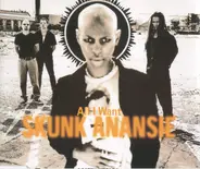 Skunk Anansie - All I Want