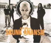 CD Single - Skunk Anansie - All I Want
