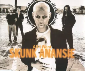 Skunk Anansie - All I Want