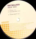 12'' - Skywalker - How Gee
