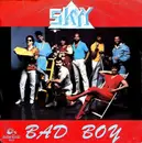 7inch Vinyl Single - Skyy - Bad Boy