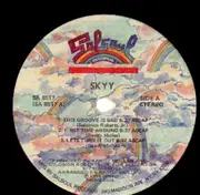 LP - Skyy - Skyy