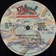 12inch Vinyl Single - Skyy - Call Me
