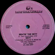 12inch Vinyl Single - Skyy - Skyy High Mega Mix