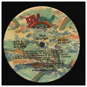 LP - Skyy - Skyylight