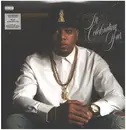 Double LP - Skyzoo - In Celebration Of Us
