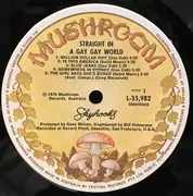 LP - Skyhooks - Straight In A Gay Gay World - Gatefold + poster