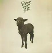 Skyhooks - Straight In A Gay Gay World