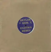 Skylab vs Dom. T.