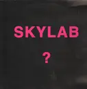 12inch Vinyl Single - Skylab - ?
