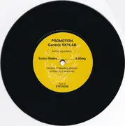 7inch Vinyl Single - Skylab - Promotion