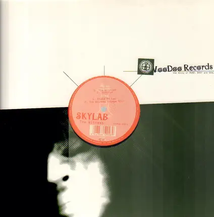 Skylab - The Witness