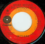 Skylark - What Would I Do Without You