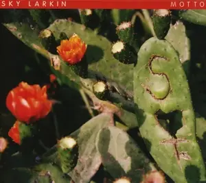 sky larkin - Motto