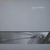Skysurfer - Colors