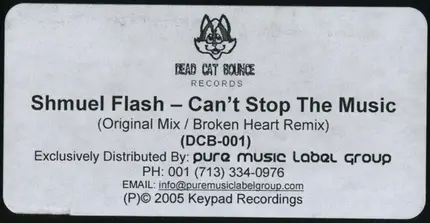 SHMUEL FLASH - Can't Stop The Musik