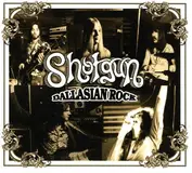 Shroom Angel Records
