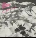 LP - Shout - Suspicion