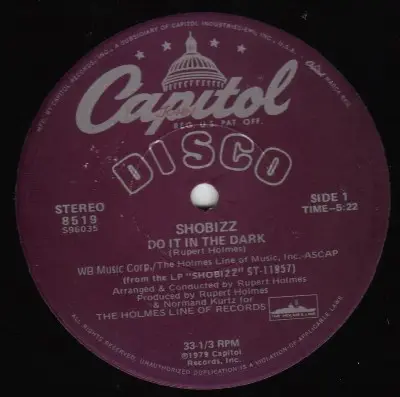 Shobizz - Do It In The Dark / We Are A Music Machine