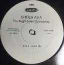 12inch Vinyl Single - Shola Ama - You Might Need Somebody