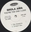 12inch Vinyl Single - Shola Ama - You're The One I Love - Promo