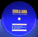 12'' - Shola Ama - Who's Loving My Baby