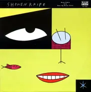 Shonen Knife - Neon Zebra b/w Bear Up Bison (Live)