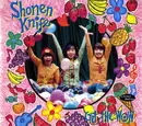 CD - Shonen Knife - Get The Wow - Digipak