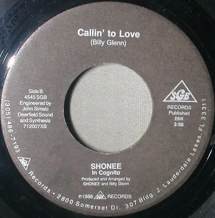 Shonee ( In Cognito ) - Don't Let This World ( Take You Away From Me )