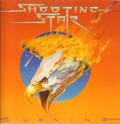 shooting star - Burning