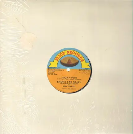 Short Fat Sally - Sally's Attack / Your A Pest