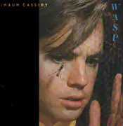 LP - Shaun Cassidy - Wasp