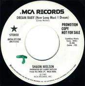 Shaun Nielsen - Dream Baby (How Long Must I Dream)