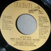 7inch Vinyl Single - Shaun Nielsen - Lets Try And Fall In Love Again