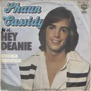 Shaun Cassidy - Hey Deanie